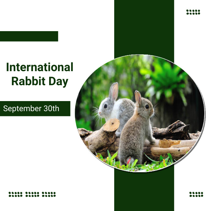 Copy of international rabbit day | PosterMyWall