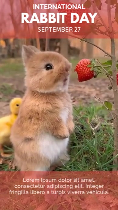 international rabbit day Template | PosterMyWall