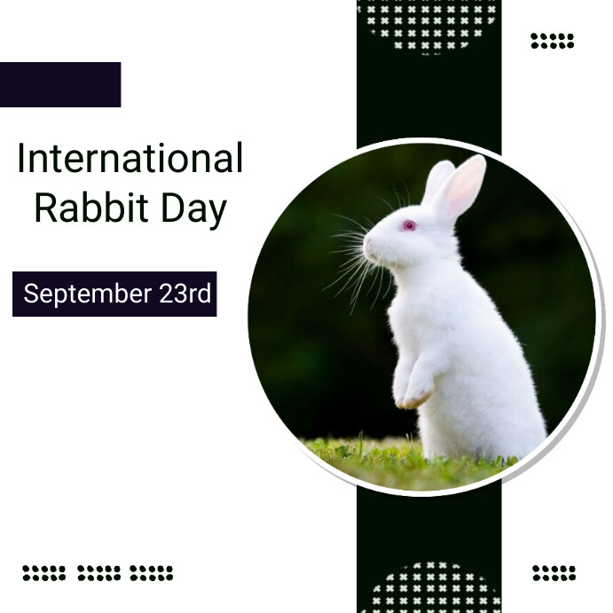 Copy of international rabbit day | PosterMyWall