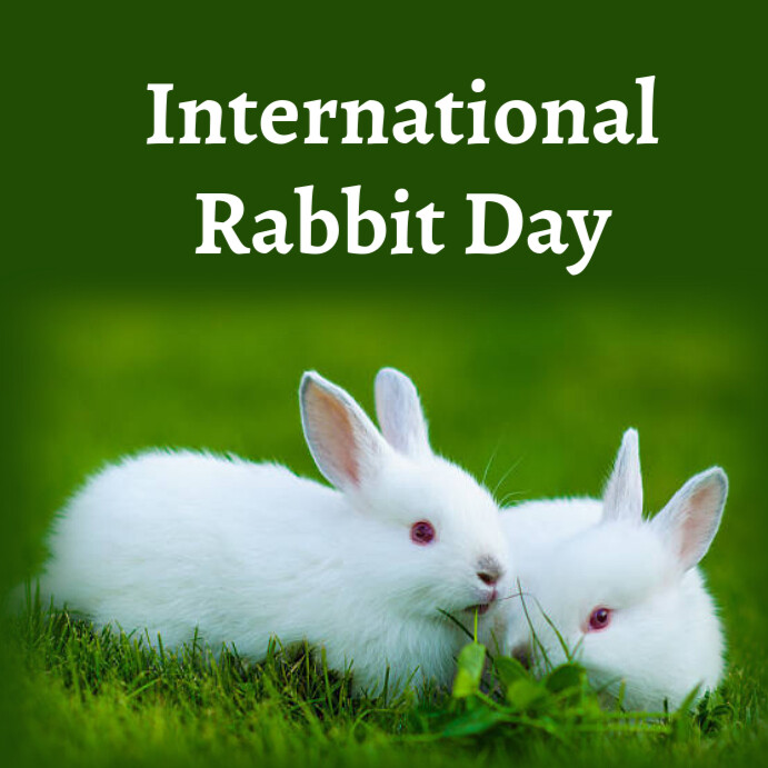 international rabbit day Template | PosterMyWall