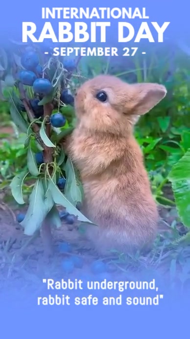 international rabbit day Template | PosterMyWall