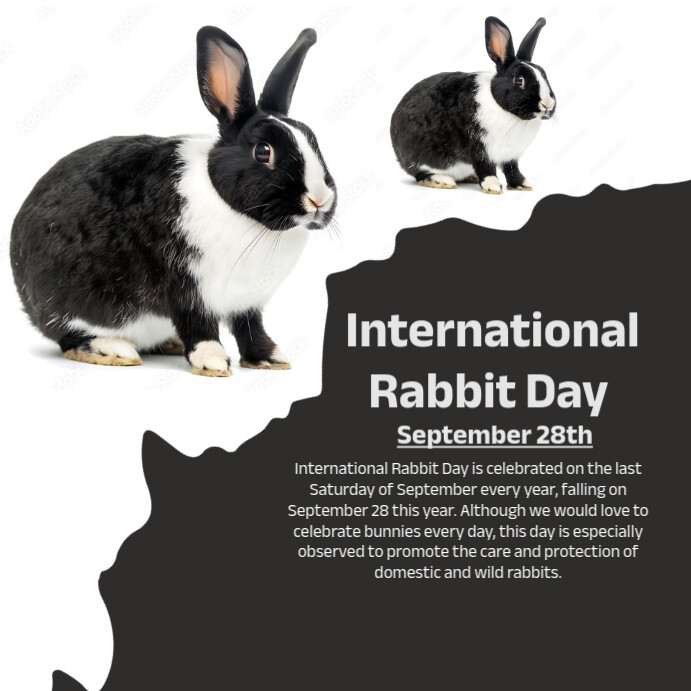 Copy of international rabbit day | PosterMyWall