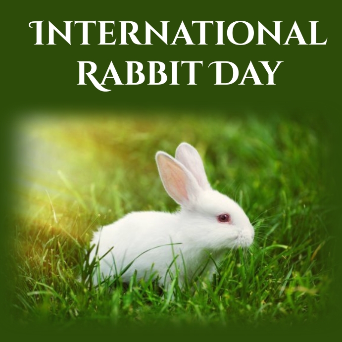National Rabbit Day 2024 - Wynne Karlotte