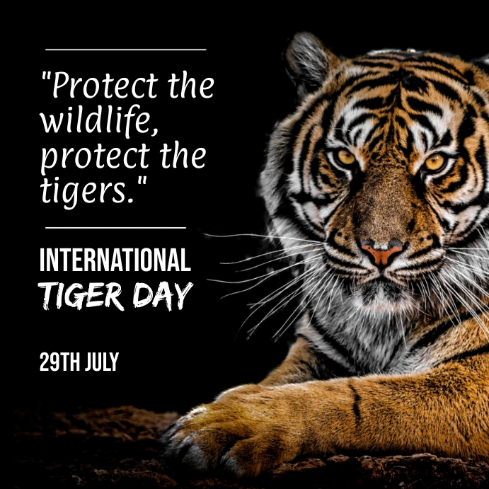 International tiger day poster Template | PosterMyWall