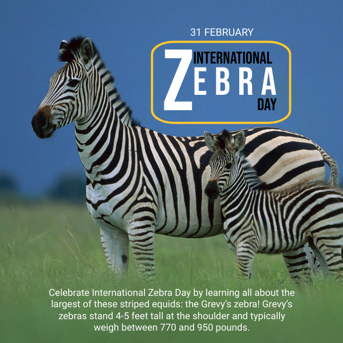 Zebra Tuesday International zebra day Template | PosterMyWall