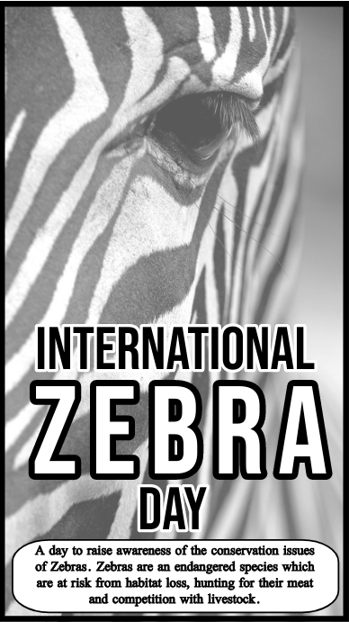 Zebra Tuesday Copy of International Zebra Day | PosterMyWall