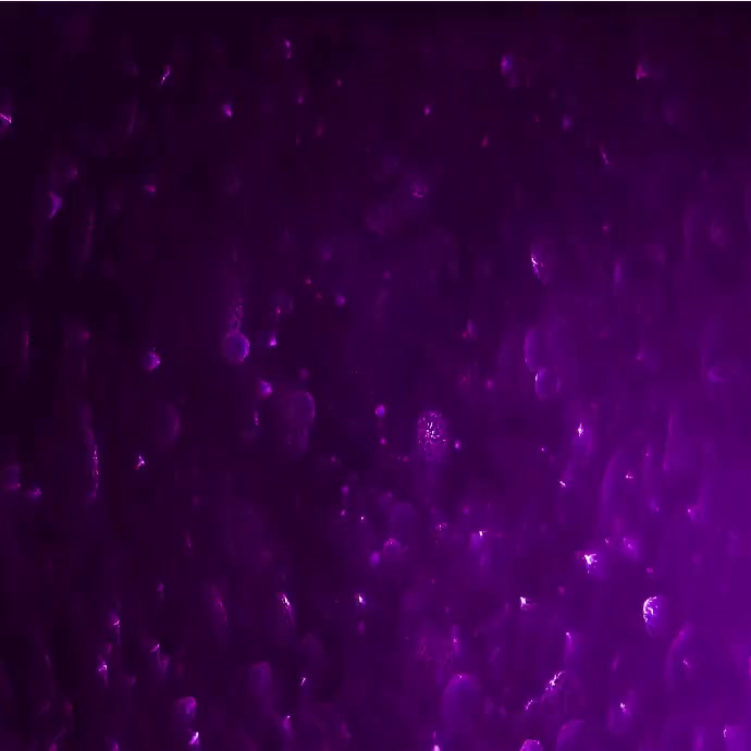 INTRO BACKGROUND Template | PosterMyWall