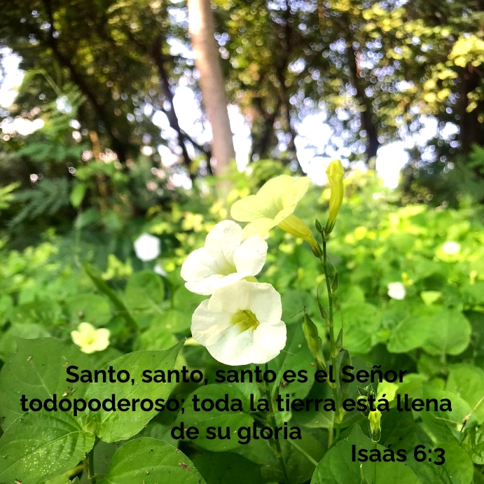 isaías 6:3 Instagram Post template