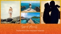 island trip album งานแสดงผลงานแบบดิจิทัล (16:9) template