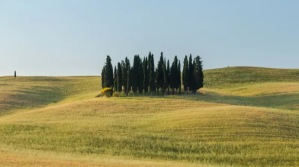Blå Countryside Landscape Presentation Template