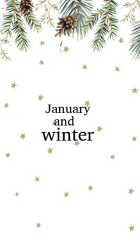 January and winter themed wallpaper Instagram Story template
