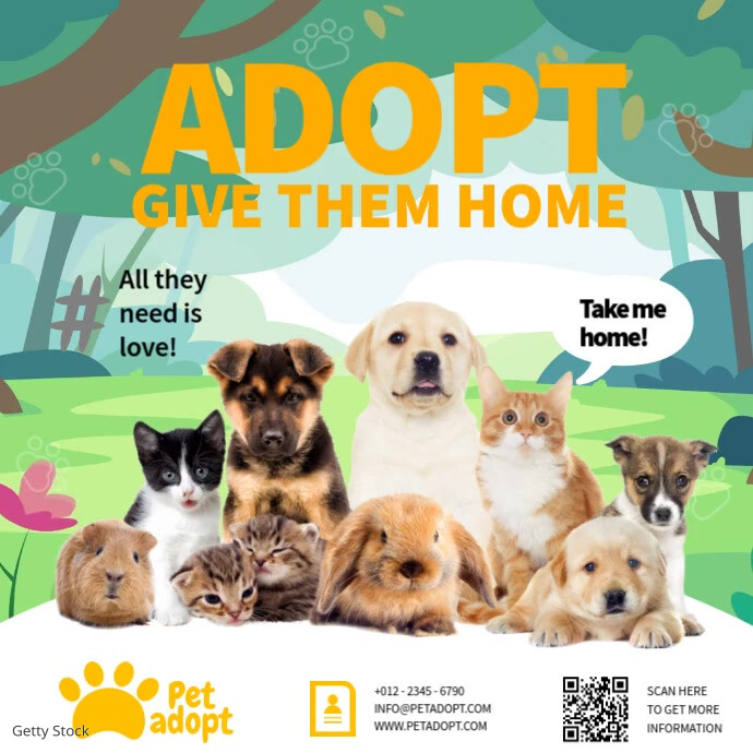Joyful  Animal Shelters Square (1:1) template