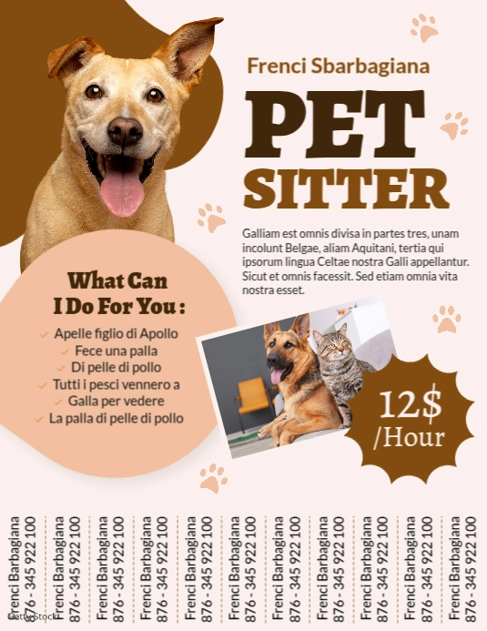 Joyful Brown And Kaki Pet Sitter Flyer Template | Warm Dog & Cat Care Poster Design Flyer (us Letter Pamflet (Letter AS)