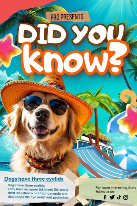 Joyful Did You Know  Poster Cartaz template