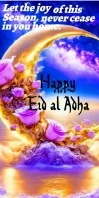 Joyful Eid Roll Up Banner 3' × 6' template