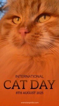 Joyful International Cat Day 8th August 2025 Instagram Reel template