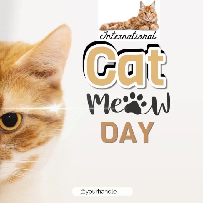 Joyful International Cat Day Instagram Post Instagram-opslag template