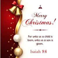 Hvid Christmas Celebration Instagram Post Template