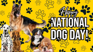 Joyful National Dog Day Digital Display (16:9 งานแสดงผลงานแบบดิจิทัล (16:9) template