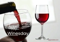 Joyful Red Minimalist Wine Drink Wednesday Facebook Post Video A5 template