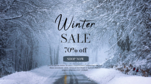 蓝色 Winter Sale Display digitale Template