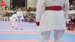 Karate Isithonjana se-YouTube template