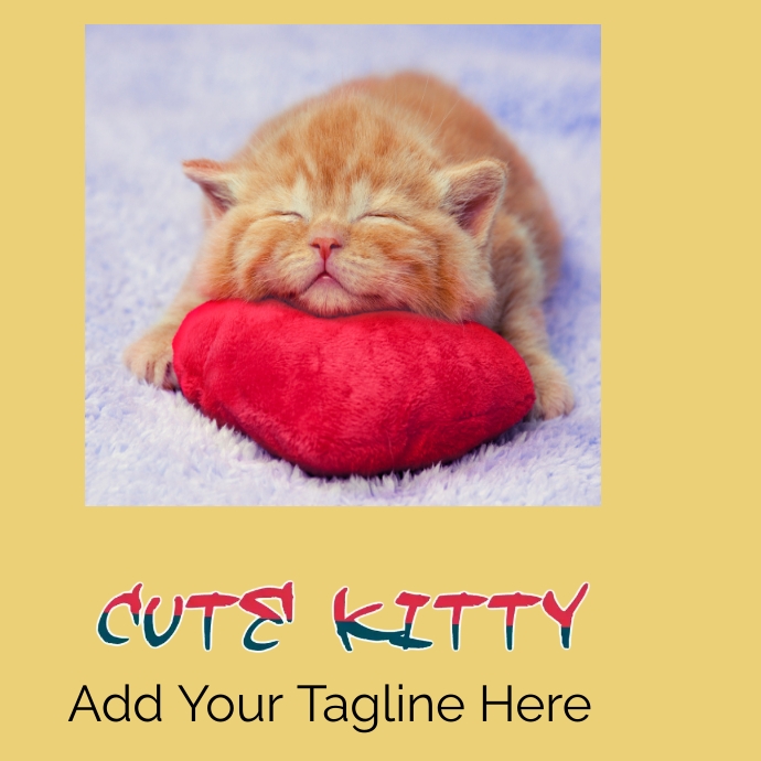 kitty Template | PosterMyWall