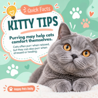 Hvid Cat Care Tips Сообщение Instagram Template