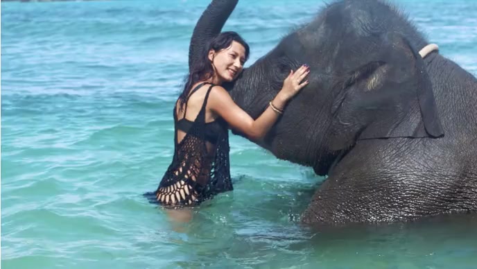 Lady and elephant love in swiming pool YouTube Thumbnail template