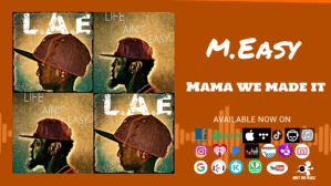 Orange Music Album Promotion Digitale Vertoning Template