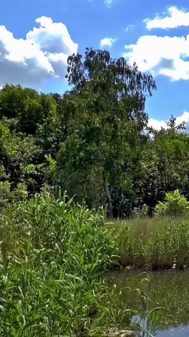 lake clouds summer background video template