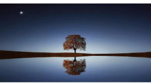 Landscape Digitalt display (16:9) template