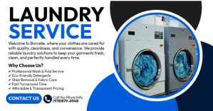 Laundry Service Изображение, которым поделились на Facebook template