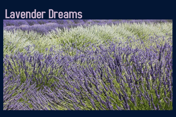 Lavender Template | PosterMyWall