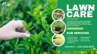 Lawn Care & Gardening Services template
