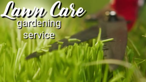 lawn care Digital Display (16:9) template