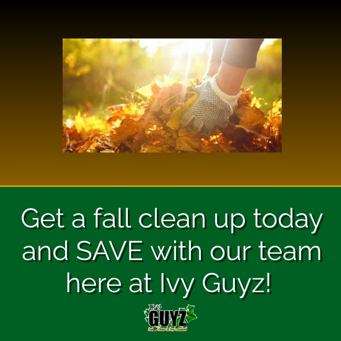 Lawn Care Fall Clean Up Flyer Template PosterMyWall