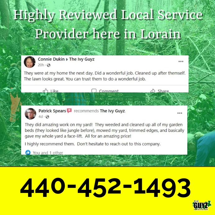 Copy of Lawn Care Reviews Post PosterMyWall