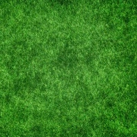 Lawn experts garden maintenance insta video Instagram Post template