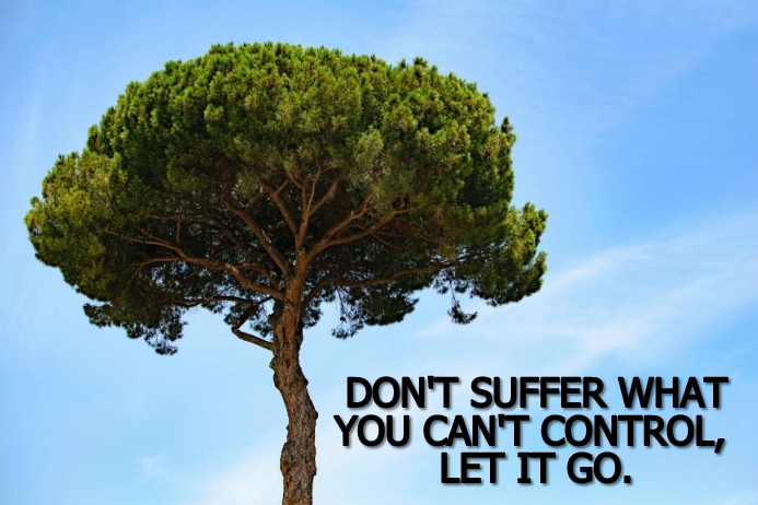 LET IT GO QUOTE TEMPLATE PosterMyWall
