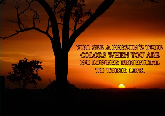 Life Tips Quotes Color LIFE AND COLORS QUOTE TEMPLATE | PosterMyWall