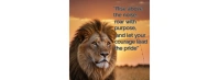 Lion inspirational quotes Foto Sampul Facebook template