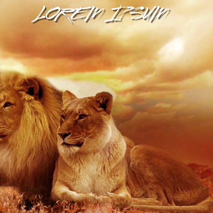 Lowe Lowin Liebe Afrikanischen Tier Hintergrund Vorlage Postermywall