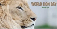 Lion Template Facebook Shared Image