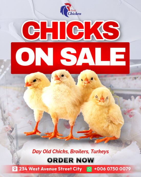 Poultry Prom Live day old Chicks on sale poultry farm promotion flyer poster ...