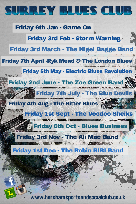 Live Music/Bands Poster Affiche template