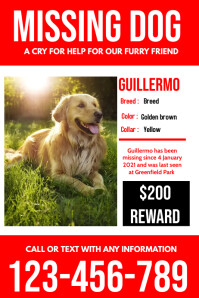 LOST ANIMAL POSTER template