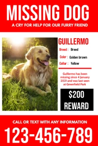 LOST ANIMAL POSTER Plakat template