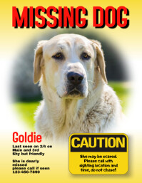 lost cat dog pet flyer poster template