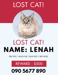 LOST CAT FLYER template